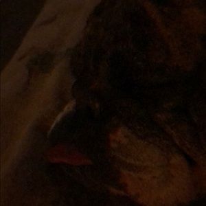 Meet your Posher, Billy